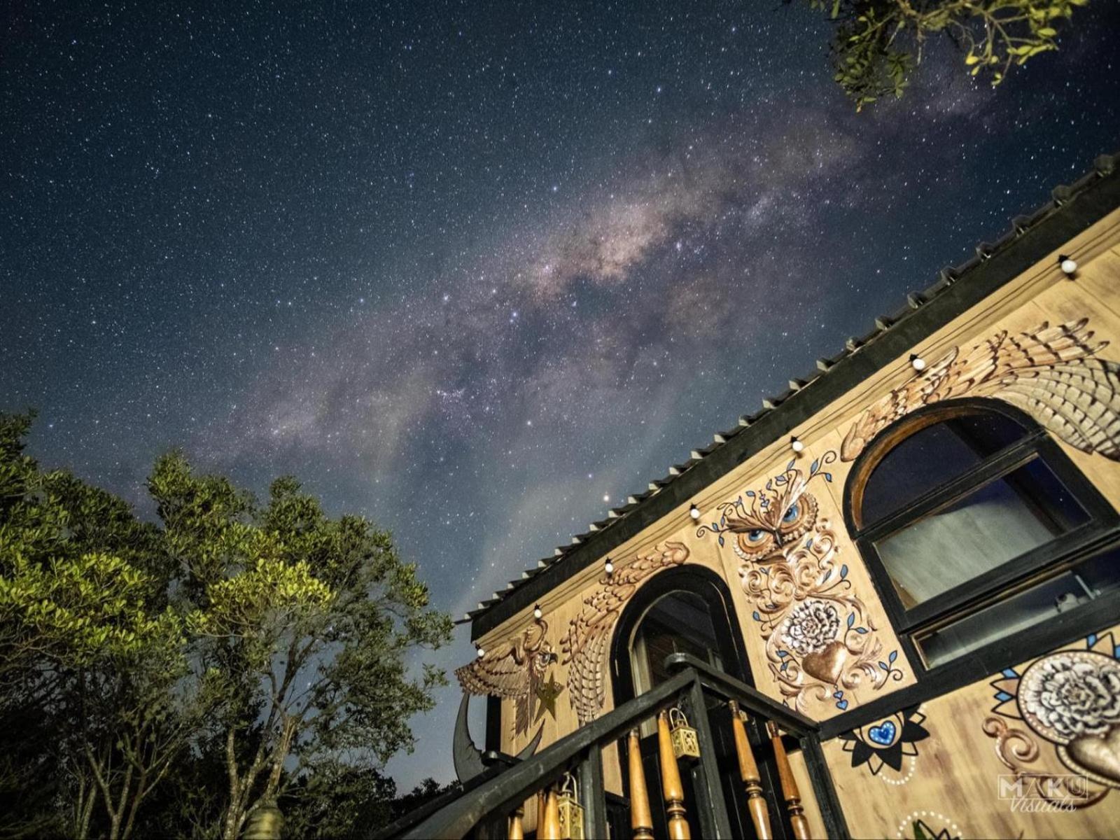 Treedom Villas And Vardos Wildernis Quarto foto
